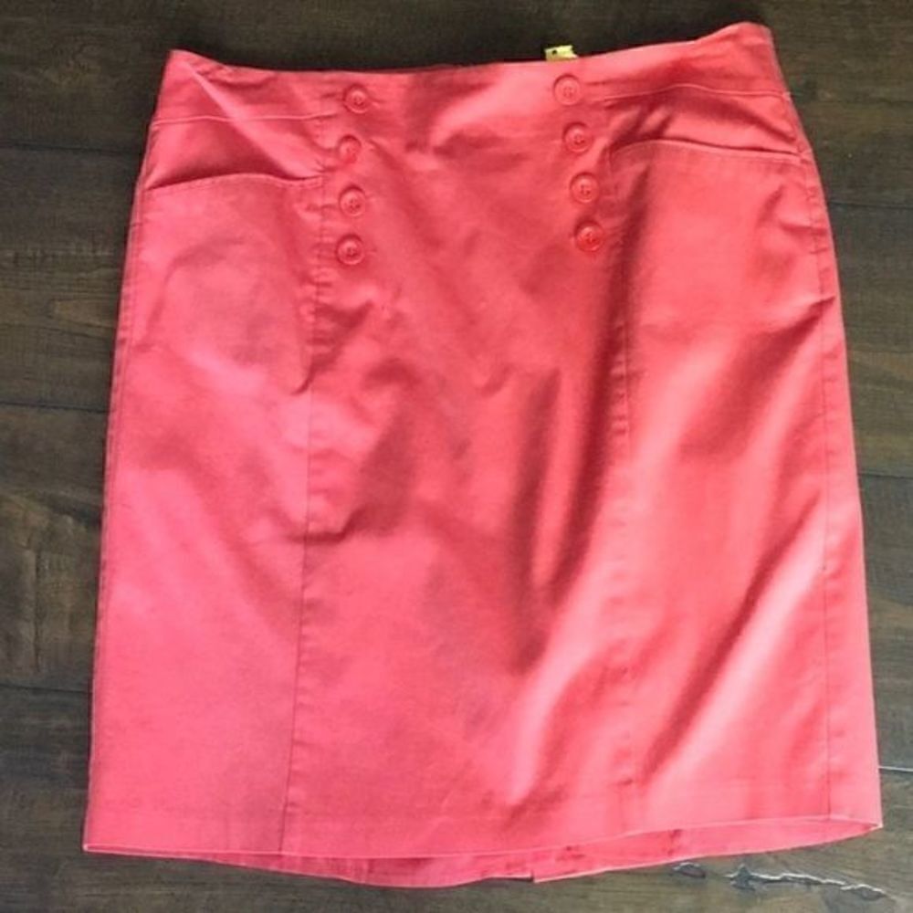 Dress Barn skirt